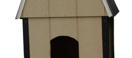 0228_actuzitiv_amerique_nord_DSR_niche_newzitiv