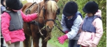 poney_cancer