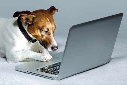 animal-yummypets-newzitiv