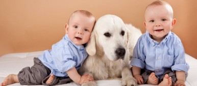 Les bienfaits du chien à la maison