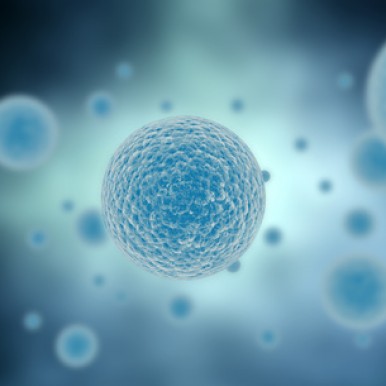 Nouvelle arme contre le cancer